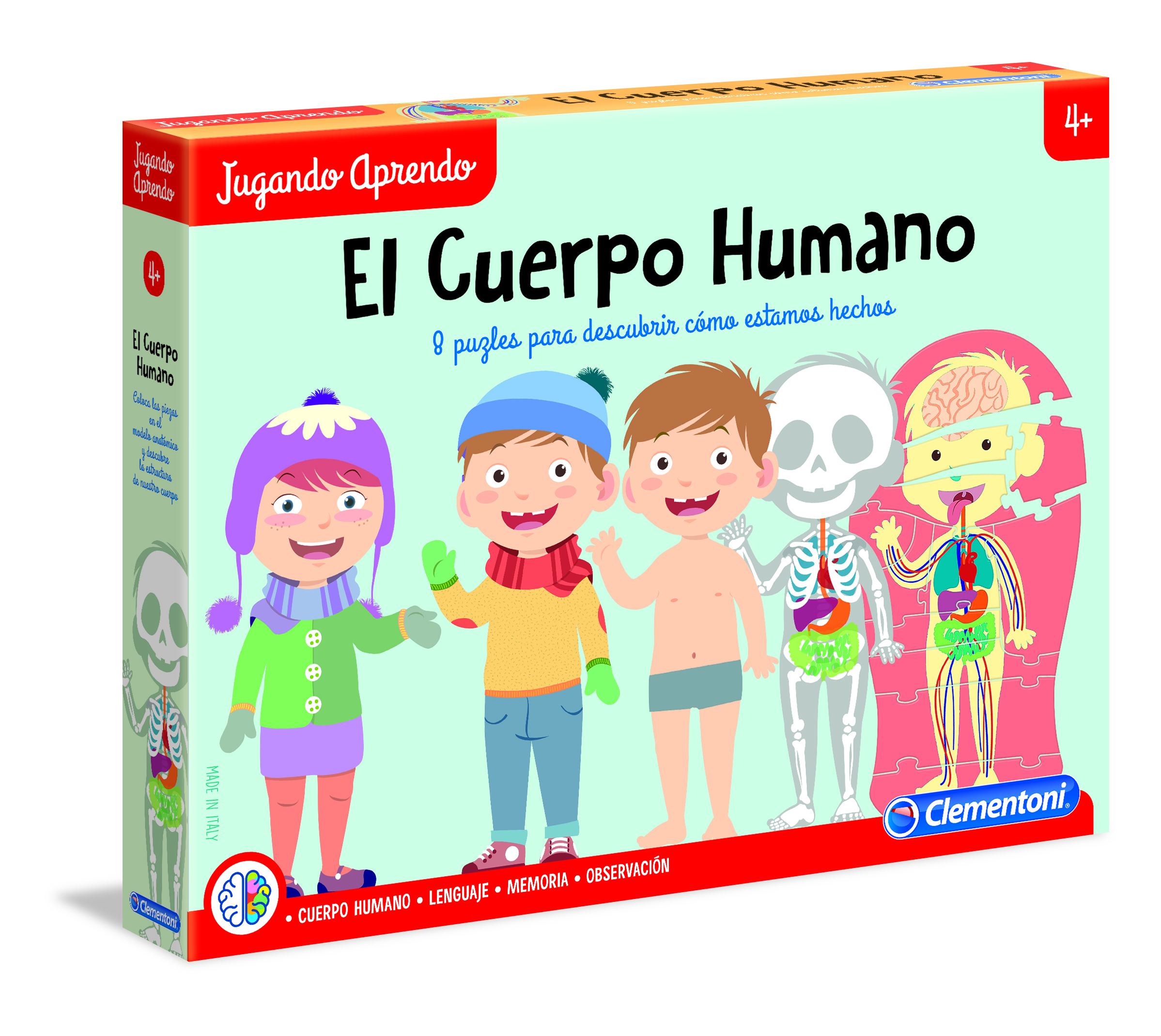 aprende el cuerpo humano