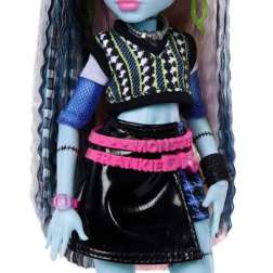 monster high muÑeca frankie stein con accesorios (mattel - jhk31)