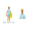 barbie ken dia en la playa ( mattel - hpl74)