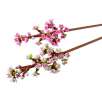 lego classic flores de cerezo ( lego - 40725) lego classic flores de cerezo ( lego - 40725)