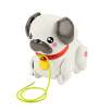 fisher-price pet pals perrito paseos (mattel - htw94) fisher-price pet pals perrito paseos (mattel - htw94)