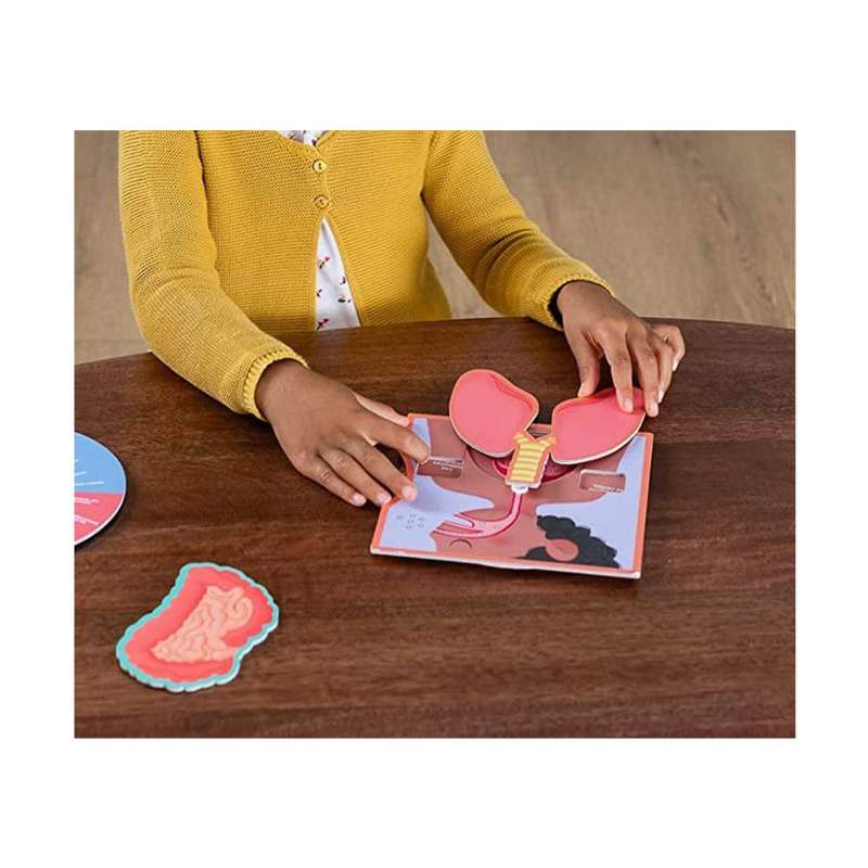 aprendo en positivo el cuerpo humano   (diset - 41210)