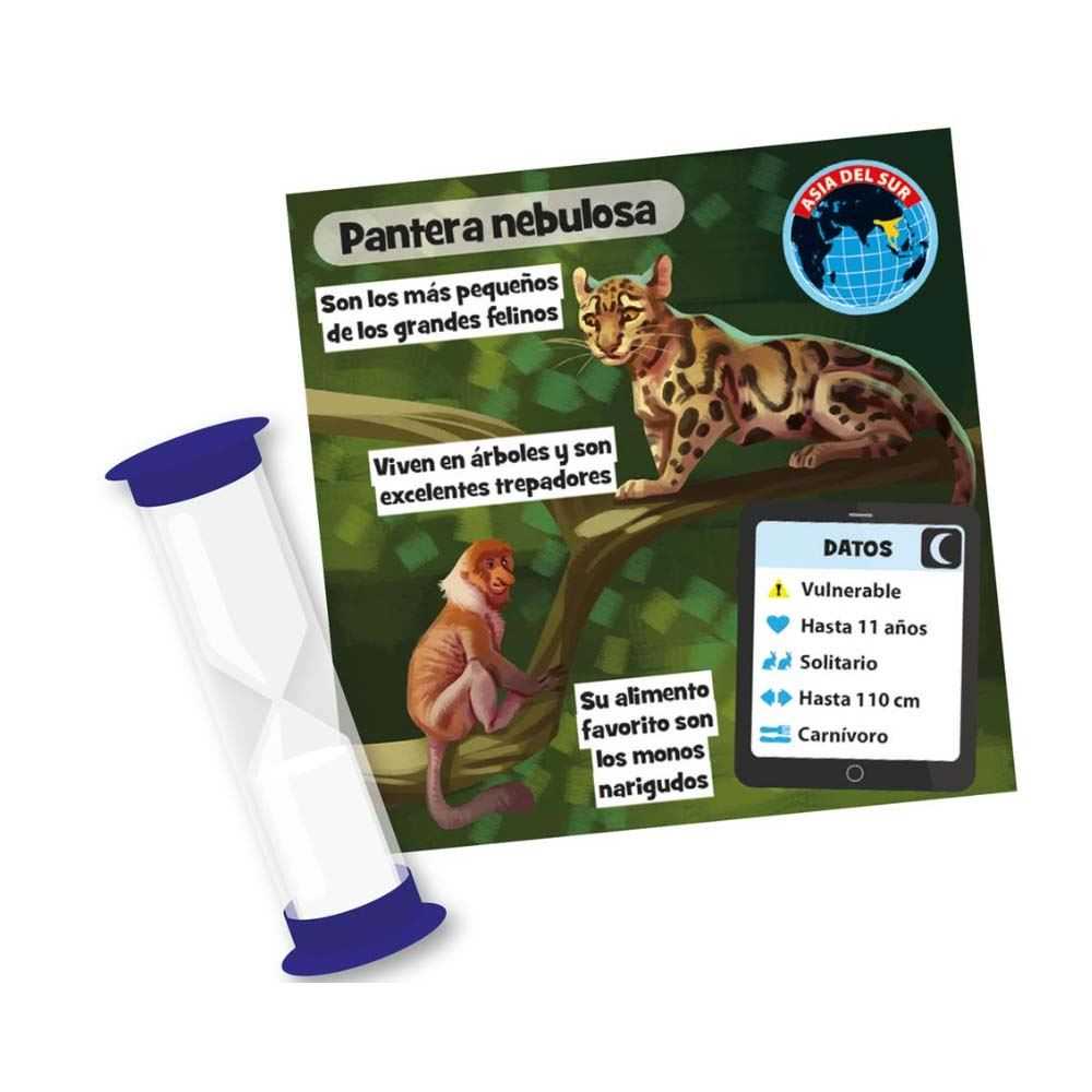 brainbox animales (asmodee - tgg13403)