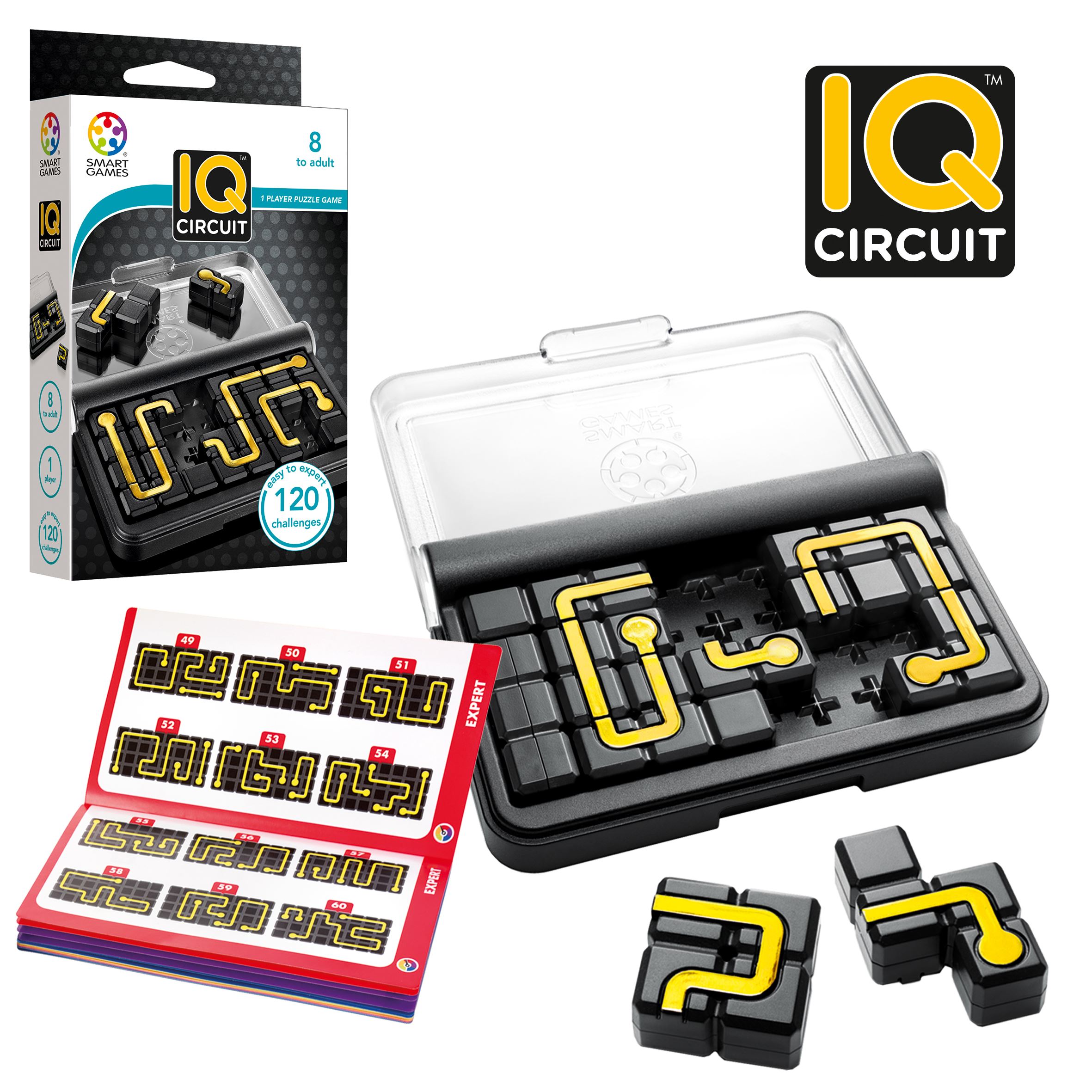 smart games iq circuit