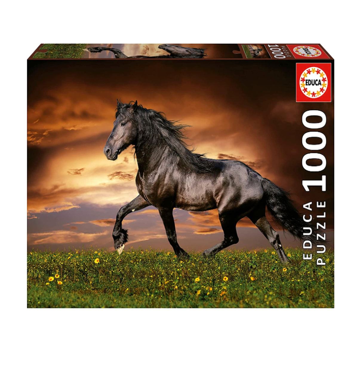 puzzle 1000 pzas caballo al trote (educa - 19555)