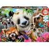 puzzle 300 piezas friends selfie (educa - 18610) puzzle 300 piezas friends selfie (educa - 18610)