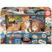 puzzle 200 gatitos viajeros (educa -18065)