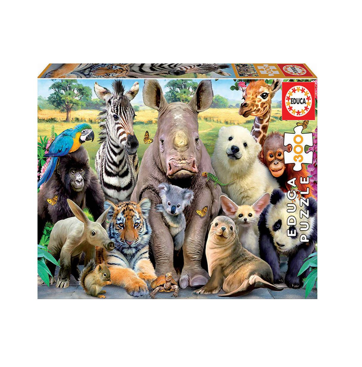 puzzle 300 piezas foto de clase (educa - 15908)