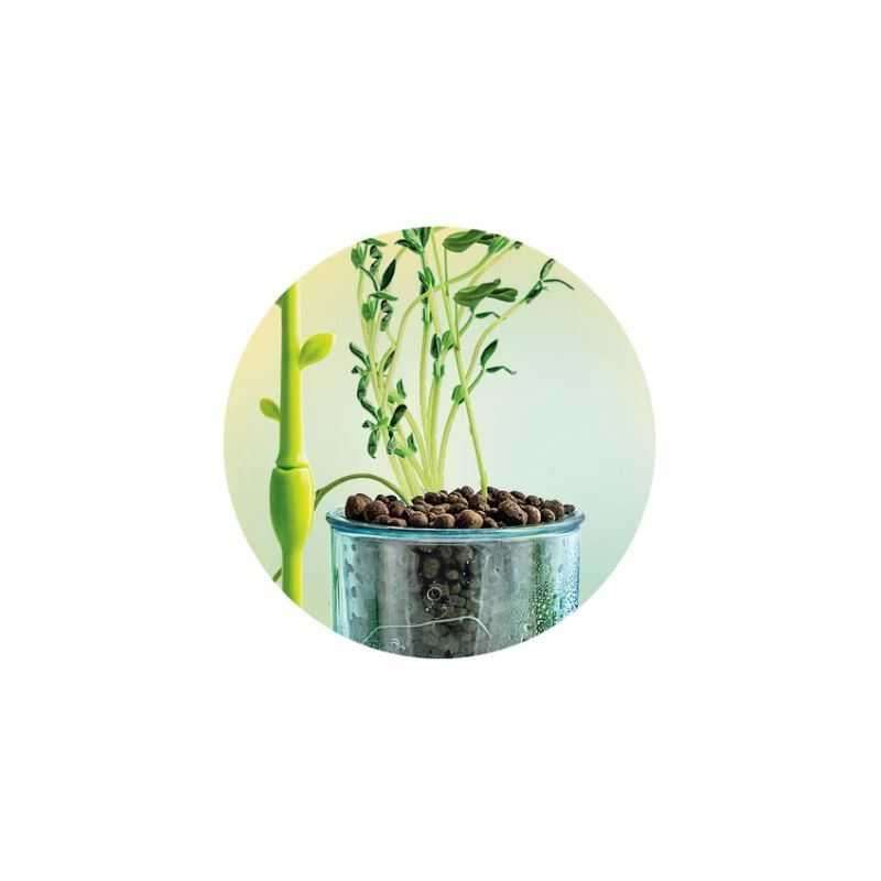 ciencia y juego kit invernadero (clementoni - 55590)