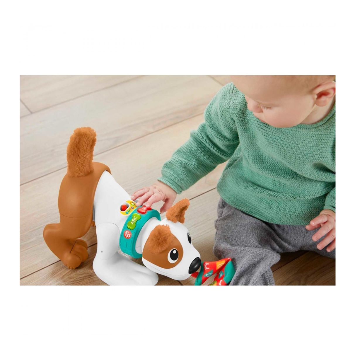 fisher-price perrito gatea y juega (mattel - hgy57)