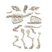 arqueojugando smilodon fluorescente (clementoni - 55544) arqueojugando smilodon fluorescente (clementoni - 55544)