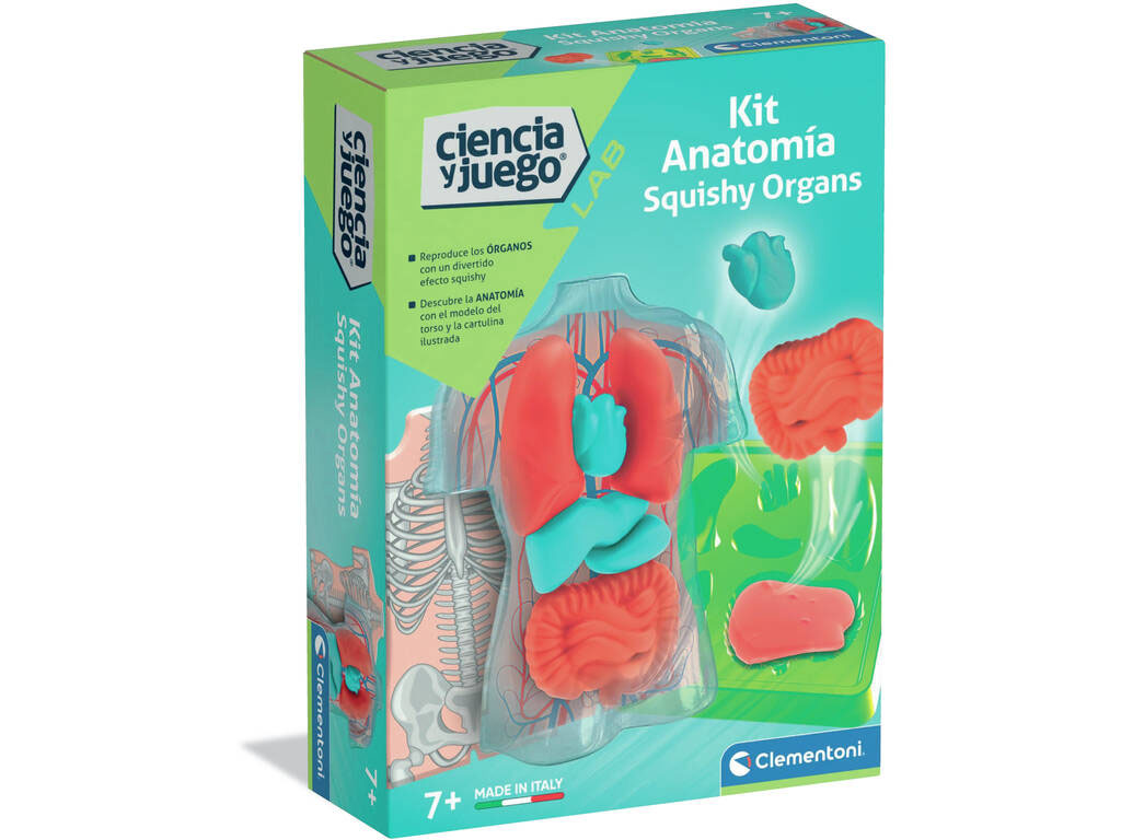 ciencia y juego kit anatomia squishy (clementoni - 55577)