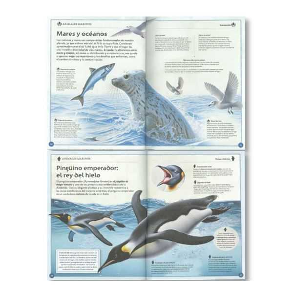 libro animales marinos magnifico (susaeta - s2114007)