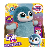 moose little live pets my pet penguin (moose toys - 26535)