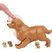 barbie perritos recien nacidos rubia