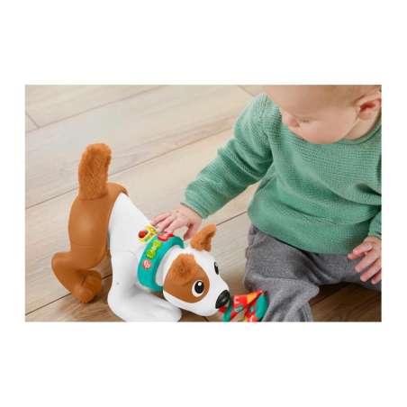 fisher-price perrito gatea y juega (mattel - hgy57)