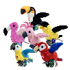 happy yappers pajaritos interactivos surtidos (famosa - hpa00000) happy yappers pajaritos interactivos surtidos (famosa - hpa00000)