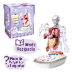 so science cuerpo humano: vozpedia interactiva (canal toys - cos005) so science cuerpo humano: vozpedia interactiva (canal toys - cos005)