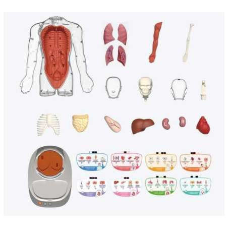 so science cuerpo humano: vozpedia interactiva (canal toys - cos005)