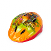jurassic world casco (saica - i5271-i5276)