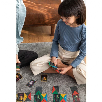 the vampires the vampires