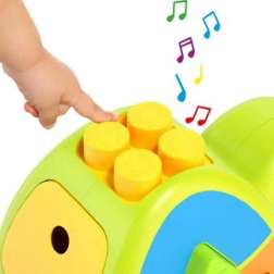 molto tortuga de actividades con sonido (molto - 24501 )