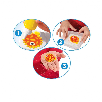 aqua gelz deluxe set (simba - 106322563) aqua gelz deluxe set (simba - 106322563)