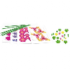 educa arte floral flores silvestres educa arte floral flores silvestres