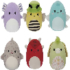 squishmallows 20 cm serie c 6 modelos surtidos (jazwares iberia - sqcr05384.) squishmallows 20 cm serie c 6 modelos surtidos (jazwares iberia - sqcr05384.)