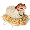 primal hatch jurassic world t-rex interactivo (spin master - 6072462) primal hatch jurassic world t-rex interactivo (spin master - 6072462)