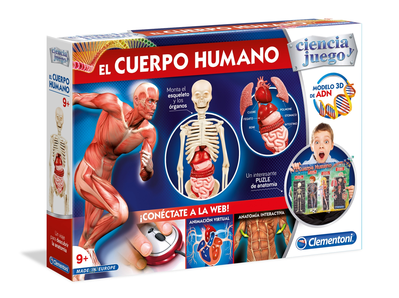ciencia y juego el cuerpo humano  (clementoni - 55089)