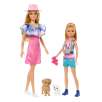 barbie stacie al rescate pack 2 hermanas (mattel - hrm09) barbie stacie al rescate pack 2 hermanas (mattel - hrm09)