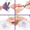 nano art capsula sorpresa (bizak - 64528101) nano art capsula sorpresa (bizak - 64528101)
