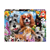 puzzle 200 piezas selfie de mascotas (19293) puzzle 200 piezas selfie de mascotas (19293)