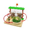 hormicefa (cefa - 21851) hormicefa (cefa - 21851)